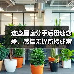 这些星座分手后迅速恋爱,感情无缝衔接成常态?(图2) 这些星座分手后迅速恋爱,感情无缝衔接成常态?(图2)