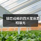 暗恋成瘾的四大星座真相曝光（图4）