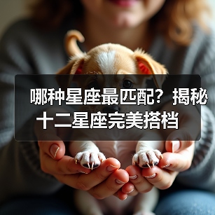 哪种星座最匹配？揭秘十二星座完美搭档（图3）