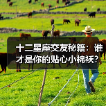 十二星座交友秘籍：谁才是你的贴心小棉袄？（图2）