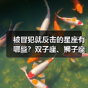 被冒犯就反击的星座有哪些？双子座、狮子座等当场反击（图1）