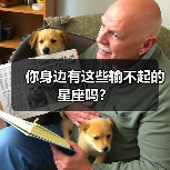 你身边有这些输不起的星座吗？（图4）