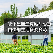 哪个星座最真诚？心直口快却生活多姿多彩！（图3）