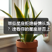 哪些星座拒绝爱情长跑？速看你的星座是否上榜！（图4）