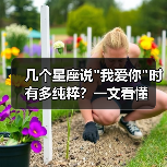 几个星座说