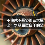 不将就不妥协的三大星座：水瓶巨蟹白羊的坚持之道（图3）