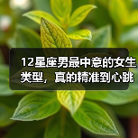 12星座男最中意的女生类型，真的精准到心跳加速！（图2）