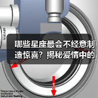 哪些星座最会不经意制造惊喜？揭秘爱情中的惊喜制造者（图3）