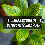 十二星座爱情密码：如何赢得每个星座的心？（图4）
