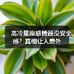 高冷星座感情最没安全感?真相让人意外(图1) 高冷星座感情最没安全感?真相让人意外(图1)