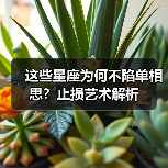 这些星座为何不陷单相思?止损艺术解析(图4) 这些星座为何不陷单相思?止损艺术解析(图4)