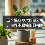 四个星座吵架秒提分手,性格不服输的真相曝光!(图2) 四个星座吵架秒提分手,性格不服输的真相曝光!(图2)