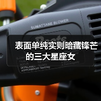 表面单纯实则暗藏锋芒的三大星座女（图4）
