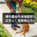 哪些星座在感情里能驾驭恋人?高情商让你心甘情愿服帖(图3) 哪些星座在感情里能驾驭恋人?高情商让你心甘情愿服帖(图3)