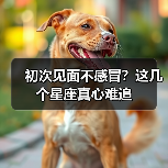 初次见面不感冒?这几个星座真心难追(图4) 初次见面不感冒?这几个星座真心难追(图4)