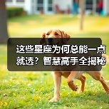 这些星座为何总能一点就透？智慧高手全揭秘（图2）