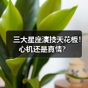 三大星座演技天花板!心机还是真情?(图1) 三大星座演技天花板!心机还是真情?(图1)