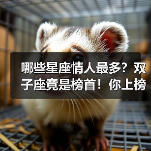 哪些星座情人最多?双子座竟是榜首!你上榜了吗(图3) 哪些星座情人最多?双子座竟是榜首!你上榜了吗(图3)