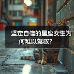 坚定自信的星座女生为何难以驾驭?(图1) 坚定自信的星座女生为何难以驾驭?(图1)