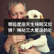 哪些星座天生精明又狡猾?揭秘三大星座的处世之道(图1) 哪些星座天生精明又狡猾?揭秘三大星座的处世之道(图1)