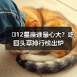 12星座谁最心大?吃回头草排行榜出炉(图1) 12星座谁最心大?吃回头草排行榜出炉(图1)
