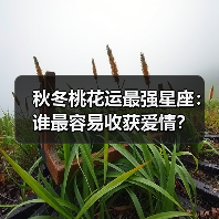 秋冬桃花运最强星座:谁最容易收获爱情?(图2) 秋冬桃花运最强星座:谁最容易收获爱情?(图2)
