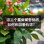 这三个星座被惹恼后,如何哄回最有效?(图2) 这三个星座被惹恼后,如何哄回最有效?(图2)