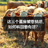 这三个星座被惹恼后,如何哄回最有效?(图4) 这三个星座被惹恼后,如何哄回最有效?(图4)
