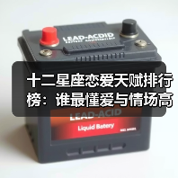 十二星座恋爱天赋排行榜：谁最懂爱与情场高手？（图4）