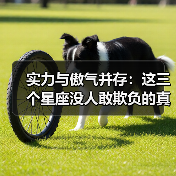 实力与傲气并存：这三个星座没人敢欺负的真相（图2）