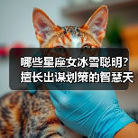 哪些星座女冰雪聪明?擅长出谋划策的智慧天后(图4) 哪些星座女冰雪聪明?擅长出谋划策的智慧天后(图4)