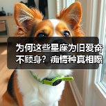 为何这些星座为旧爱奋不顾身?痴情种真相曝光!(图3) 为何这些星座为旧爱奋不顾身?痴情种真相曝光!(图3)