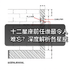 十二星座前任谁最令人难忘?深度解析各星座的独特魅力(图3) 十二星座前任谁最令人难忘?深度解析各星座的独特魅力(图3)