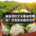 最靠谱的丈夫星座有哪些？这些星座最适合作为伴侣（图3）