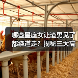 哪些星座女让渣男见了都绕道走?揭秘三大高危女生特质(图1) 哪些星座女让渣男见了都绕道走?揭秘三大高危女生特质(图1)
