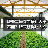 哪些星座女生最让人惹不起?脾气硬得让人心惊(图1) 哪些星座女生最让人惹不起?脾气硬得让人心惊(图1)