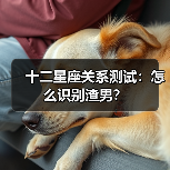 十二星座关系测试:怎么识别渣男?(图2) 十二星座关系测试:怎么识别渣男?(图2)
