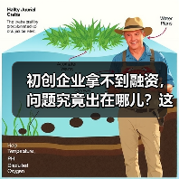 初创企业拿不到融资,问题究竟出在哪儿?这份复盘指南帮你找到答案(图2) 初创企业拿不到融资,问题究竟出在哪儿?这份复盘指南帮你找到答案(图2)
