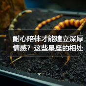 耐心陪伴才能建立深厚情感?这些星座的相处之道(图2) 耐心陪伴才能建立深厚情感?这些星座的相处之道(图2)