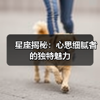 星座揭秘：心思细腻者的独特魅力（图2）