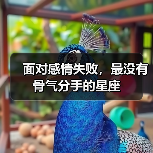 面对感情失败,最没有骨气分手的星座(图1) 面对感情失败,最没有骨气分手的星座(图1)