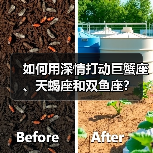 如何用深情打动巨蟹座、天蝎座和双鱼座?(图3) 如何用深情打动巨蟹座、天蝎座和双鱼座?(图3)