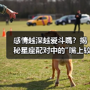 感情越深越爱斗嘴?揭秘星座配对中的 感情越深越爱斗嘴?揭秘星座配对中的