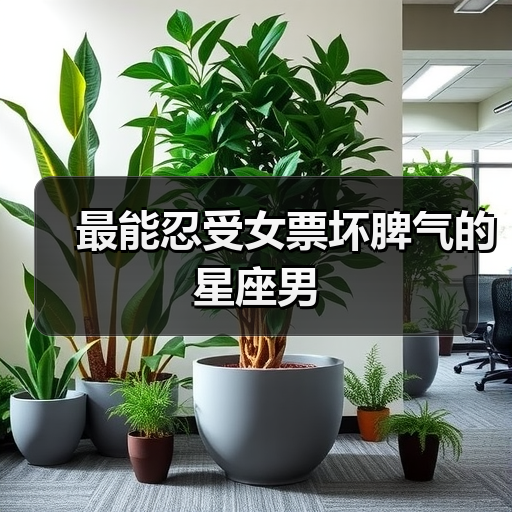 最能忍受女票坏脾气的星座男(图4) 最能忍受女票坏脾气的星座男(图4)