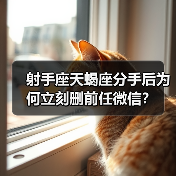 射手座天蝎座分手后为何立刻删前任微信?(图4) 射手座天蝎座分手后为何立刻删前任微信?(图4)