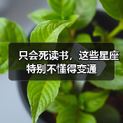 只会死读书，这些星座特别不懂得变通（图3）