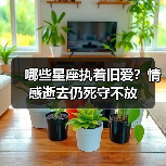哪些星座执着旧爱?情感逝去仍死守不放(图3) 哪些星座执着旧爱?情感逝去仍死守不放(图3)