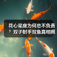 花心星座为何总不负责？双子射手双鱼真相揭秘（图1）
