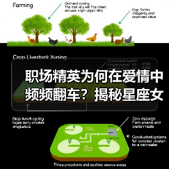 职场精英为何在爱情中频频翻车?揭秘星座女生的失策真相(图1) 职场精英为何在爱情中频频翻车?揭秘星座女生的失策真相(图1)