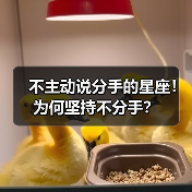 不主动说分手的星座！为何坚持不分手？（图2）